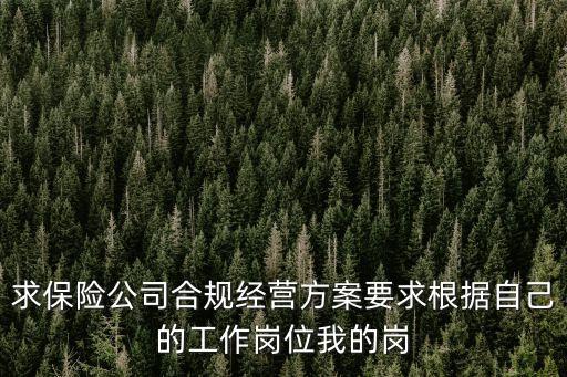 求保險(xiǎn)公司合規(guī)經(jīng)營方案要求根據(jù)自己的工作崗位我的崗