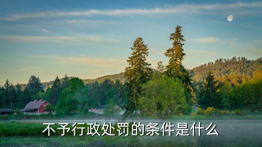 不予行政處罰，不予行政處罰的條件是什么