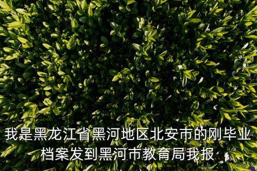 北安教育局，黑龍江省北安市農(nóng)墾區(qū)中考成績什么時候出來 上那里去查啊
