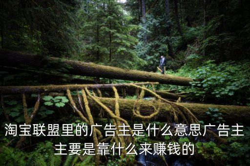 淘寶聯(lián)盟里的廣告主是什么意思廣告主主要是靠什么來賺錢的