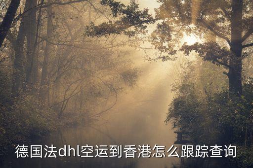空運(yùn)貨物追蹤，有沒有能查詢空運(yùn)貨物狀態(tài)的網(wǎng)站啊