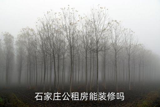石家莊公租房能裝修嗎