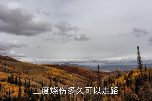 二級燒傷，2級燒傷嚴(yán)重嘛