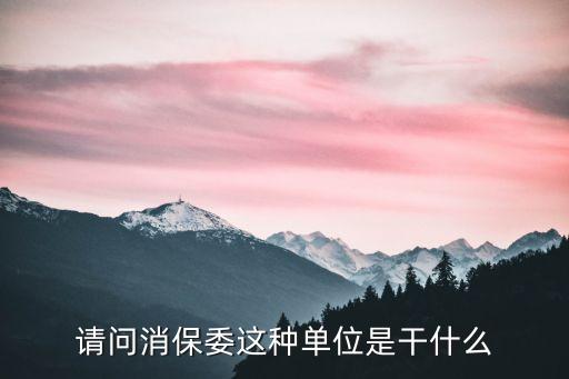 請(qǐng)問消保委這種單位是干什么