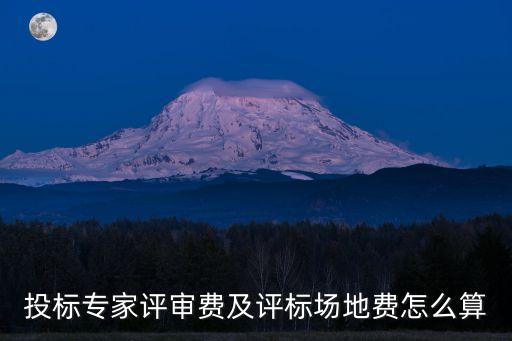 專(zhuān)家評(píng)審，環(huán)評(píng)專(zhuān)家評(píng)審費(fèi)大概是多少