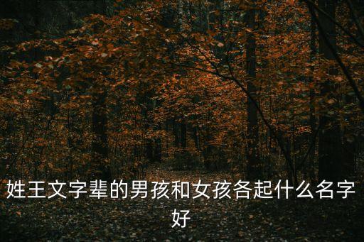 王文達(dá)，姓王文字輩的男孩和女孩各起什么名字好