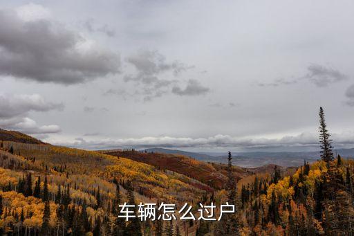 汽車(chē)過(guò)戶(hù)，汽車(chē)怎么過(guò)戶(hù)