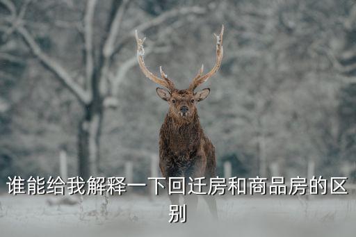 誰(shuí)能給我解釋一下回遷房和商品房的區(qū)別
