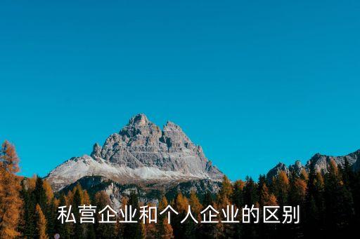 私營企業(yè)和個人企業(yè)的區(qū)別