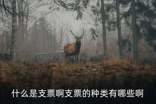 什么是支票啊支票的種類有哪些啊