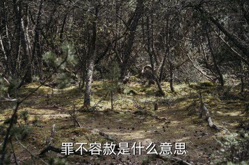 罪不可赦，罪不容赦是什么意思