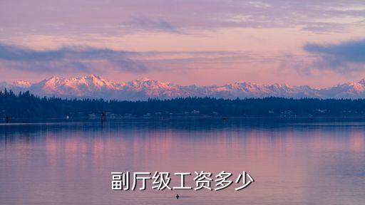 副廳級(jí)待遇，副廳級(jí)是啥待遇