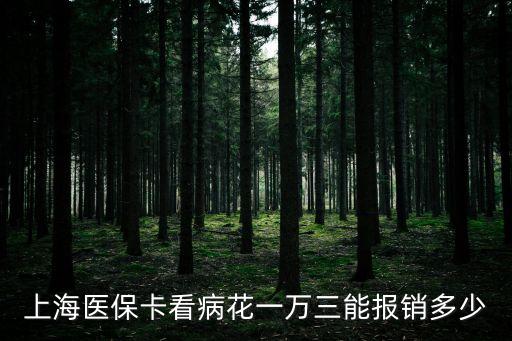上海醫(yī)保報(bào)銷比例，上海醫(yī)療保險(xiǎn)能報(bào)銷多少