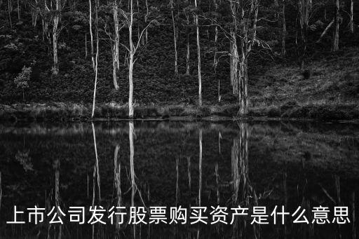 上市公司發(fā)行股票購買資產(chǎn)是什么意思