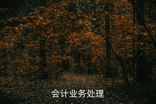 會計(jì)業(yè)務(wù)處理