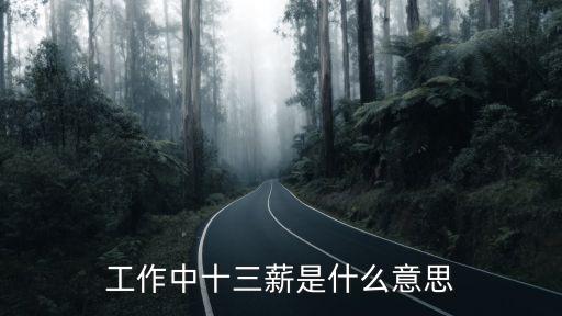 工作中十三薪是什么意思