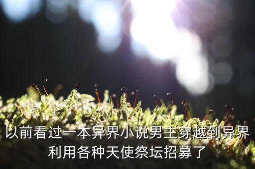 以前看過一本異界小說男主穿越到異界利用各種天使祭壇招募了