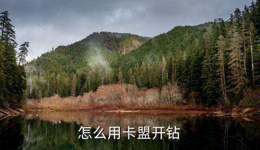 怎么用卡盟開(kāi)鉆