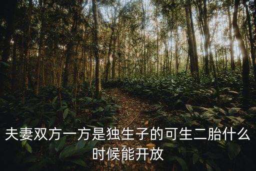 二胎開放時間，夫妻雙方一方是獨生子的可生二胎什么時候能開放
