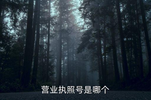 營(yíng)業(yè)執(zhí)照號(hào)是哪個(gè)