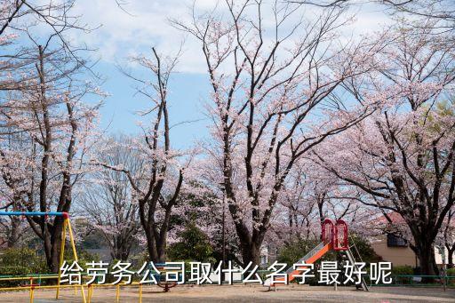 給勞務(wù)公司取什么名字最好呢