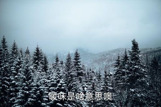 暖味是啥意思噢