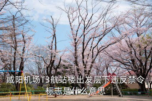 咸陽機場T3航站樓出發(fā)層下違反禁令標(biāo)志是什么意思