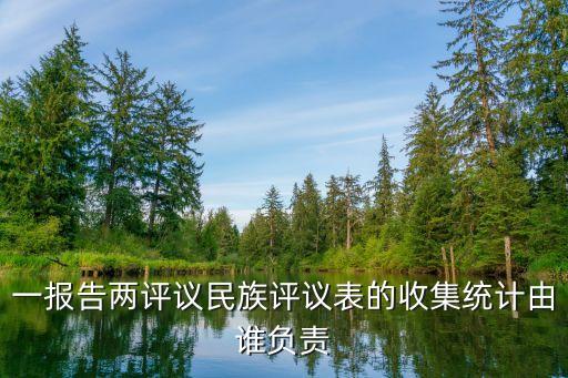 一報告兩評議民族評議表的收集統(tǒng)計由誰負責