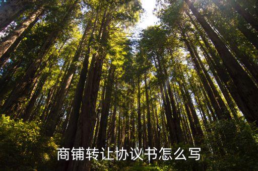 商鋪轉讓協(xié)議，商鋪轉讓協(xié)議書怎么寫