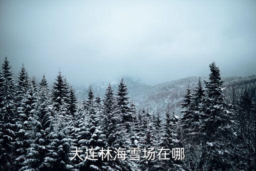 林海滑雪場(chǎng)，林海滑雪場(chǎng)怎么樣