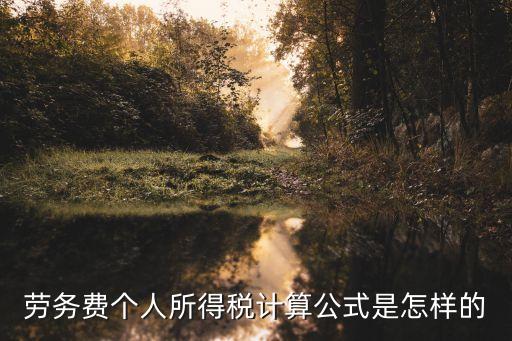 勞務(wù)費個稅，勞務(wù)費的個人收入怎么計算個人所得稅