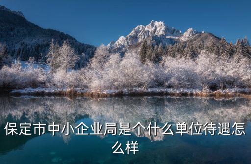 中小企業(yè)局，中小企業(yè)局都管什么