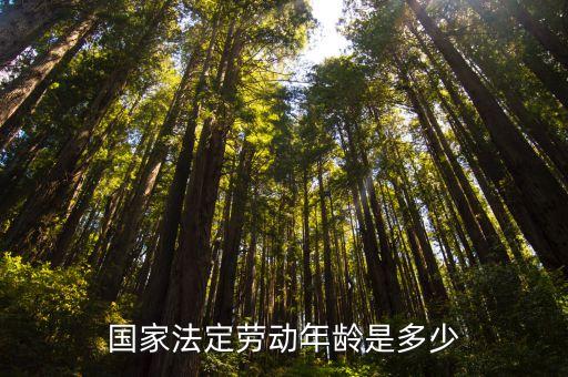 法定工作年齡，法律規(guī)定多大年紀(jì)為合法工作者