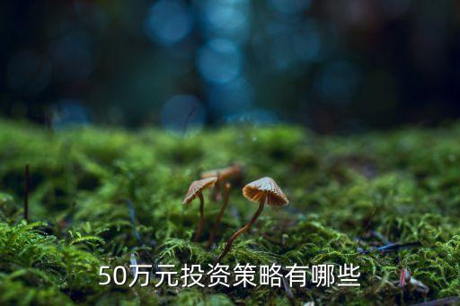 50萬元投資策略有哪些