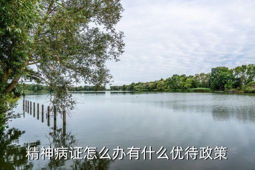 精神病證，精神病證怎么辦有什么優(yōu)待政策