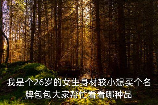 買個包包，想買個LV包包什么款式的好啊