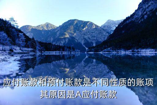 款項性質(zhì)，應(yīng)付賬款和預(yù)付賬款是不同性質(zhì)的賬項其原因是A應(yīng)付賬款