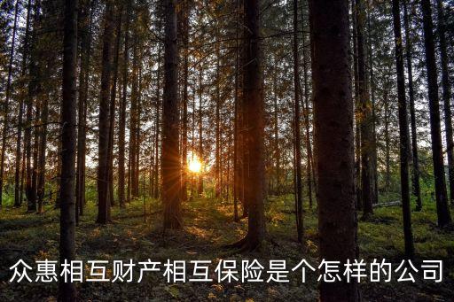 相互保險(xiǎn)公司，眾惠相互財(cái)產(chǎn)相互保險(xiǎn)是個(gè)怎樣的公司