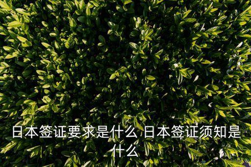 日本簽證要求是什么 日本簽證須知是什么