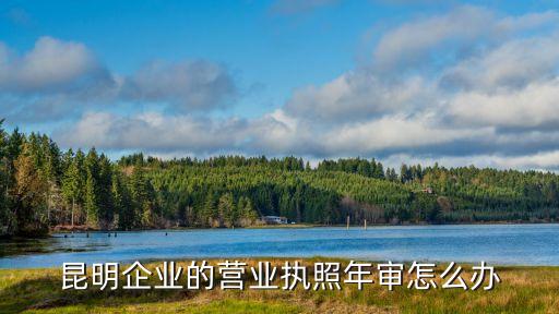 昆明企業(yè)的營(yíng)業(yè)執(zhí)照年審怎么辦