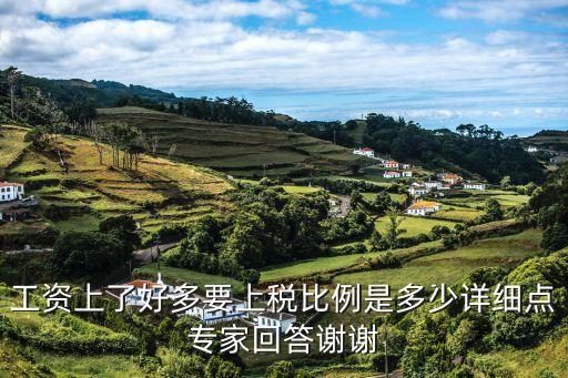工資上了好多要上稅比例是多少詳細(xì)點(diǎn)專(zhuān)家回答謝謝