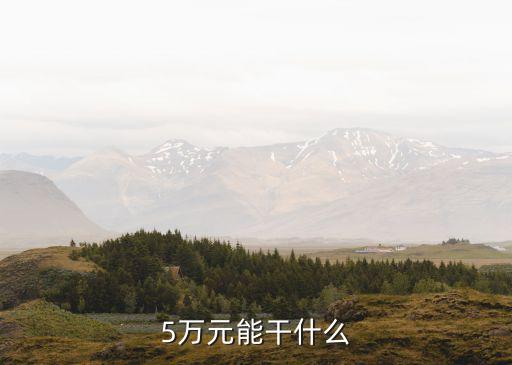 5萬元，五萬塊可以做什么