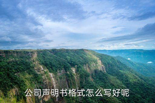 聲明書格式范文，公司更換商標(biāo)對(duì)外聲明書范文
