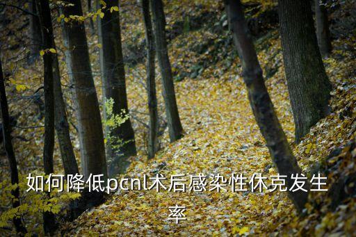 PCNL，PCNL術(shù)到底好在哪里