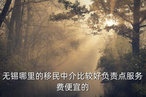 無錫哪里的移民中介比較好負(fù)責(zé)點服務(wù)費便宜的