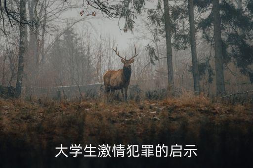 犯罪啟示錄，尋求帶有真實(shí)事件背景的刑偵電視劇