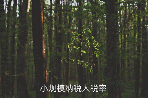 小規(guī)模納稅人增值稅稅率，小規(guī)模納稅人的增值稅稅率是多少