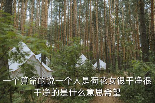 荷花女，民事案件咨詢