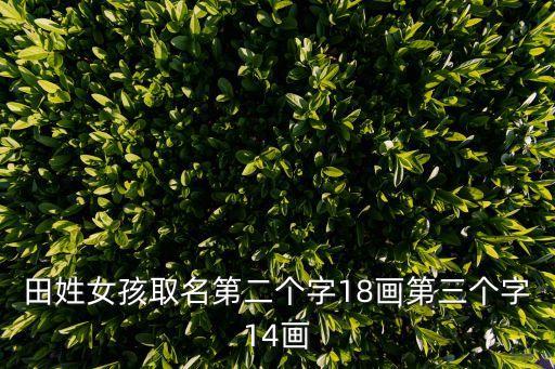 田姓女孩取名第二個字18畫第三個字14畫