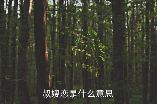 叔嫂戀是什么意思